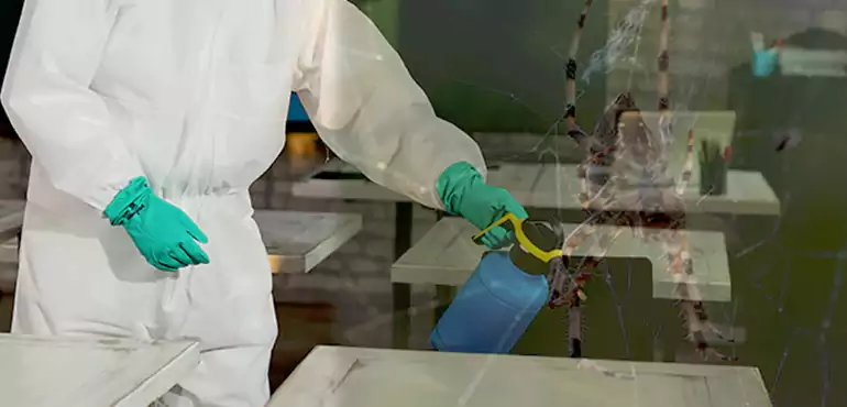 Why Buyers Still Want Homes With Pest Infestations in Pasadena, TX?