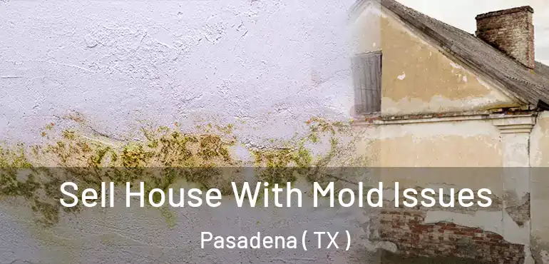  Sell House With Mold Issues Pasadena ( TX )
